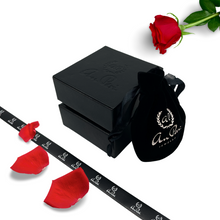 Bracelet rivière titane griffe 2.5mm